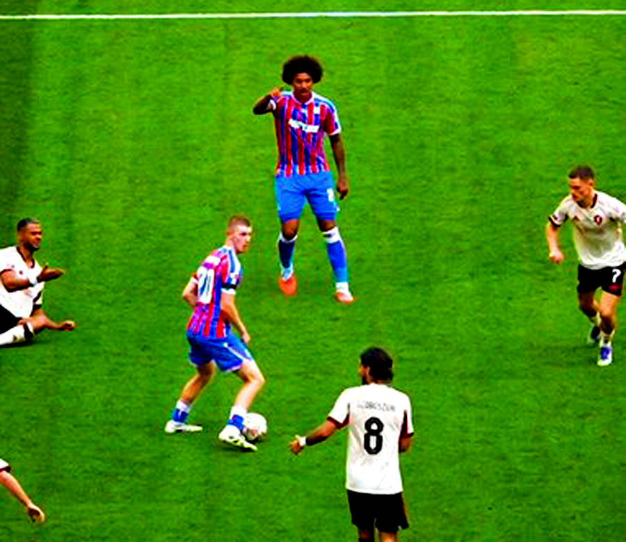 曼联冬窗签新卡里克已无可能！水晶宫欲与之续约，解约金数额已定